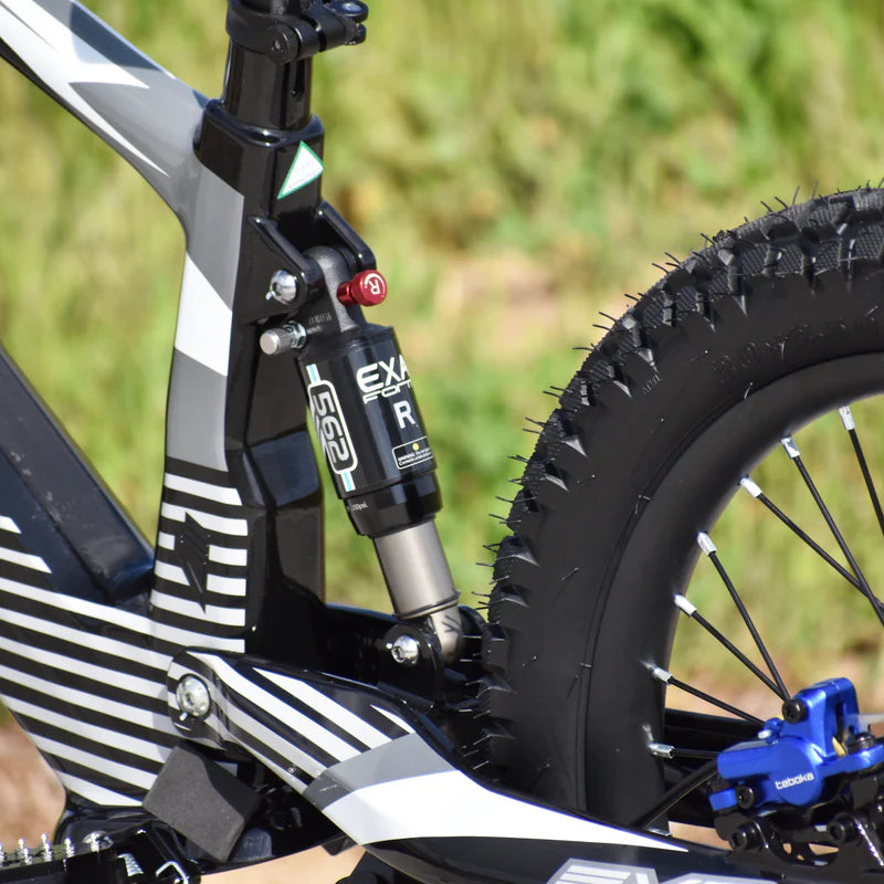 Voltaic Youth Electric Dirt Bike 20'' Flying Fox 36V