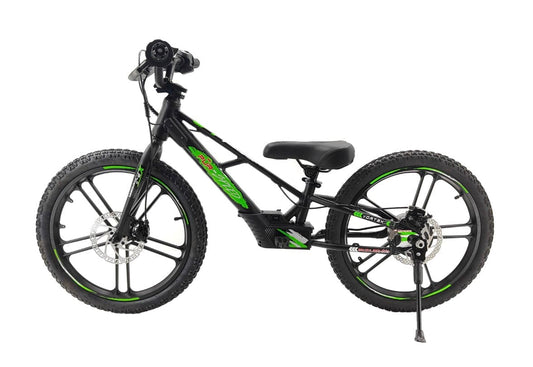 Pur-Speed 20" EKO 350W 36V 5.2ah