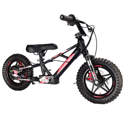 Pur-Speed 12" Xtreme 250W 36V 4ah