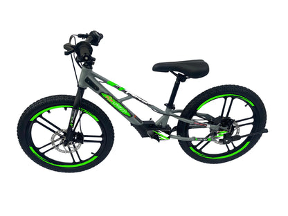 Pur-Speed 20" EKO 350W 36V 5.2ah