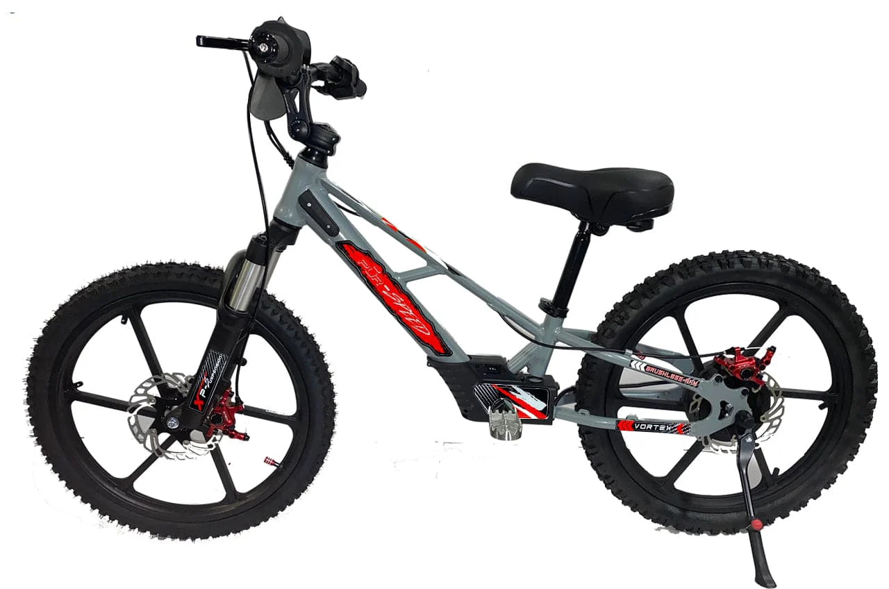 Pur-Speed 20" Xtreme 500W 48V 4ah