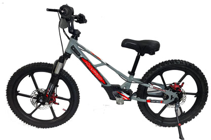 Pur-Speed 20" Xtreme 500W 48V 4ah