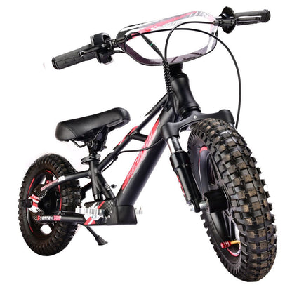 Pur-Speed 12" Xtreme 250W 36V 4ah