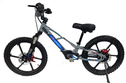 Pur-Speed 20" Xtreme 500W 48V 4ah