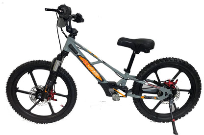 Pur-Speed 20" Xtreme 500W 48V 4ah