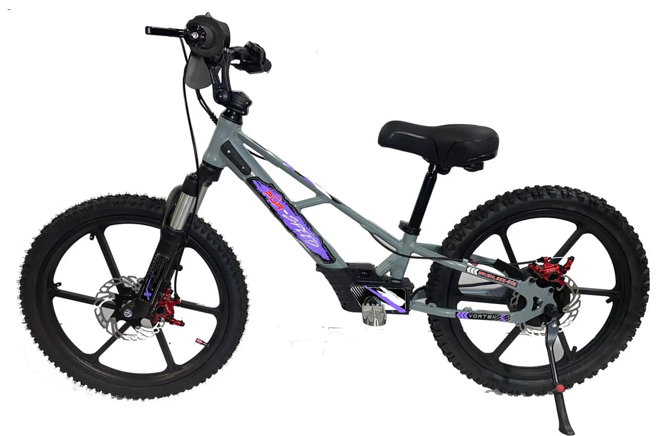 Pur-Speed 20" Xtreme 500W 48V 4ah