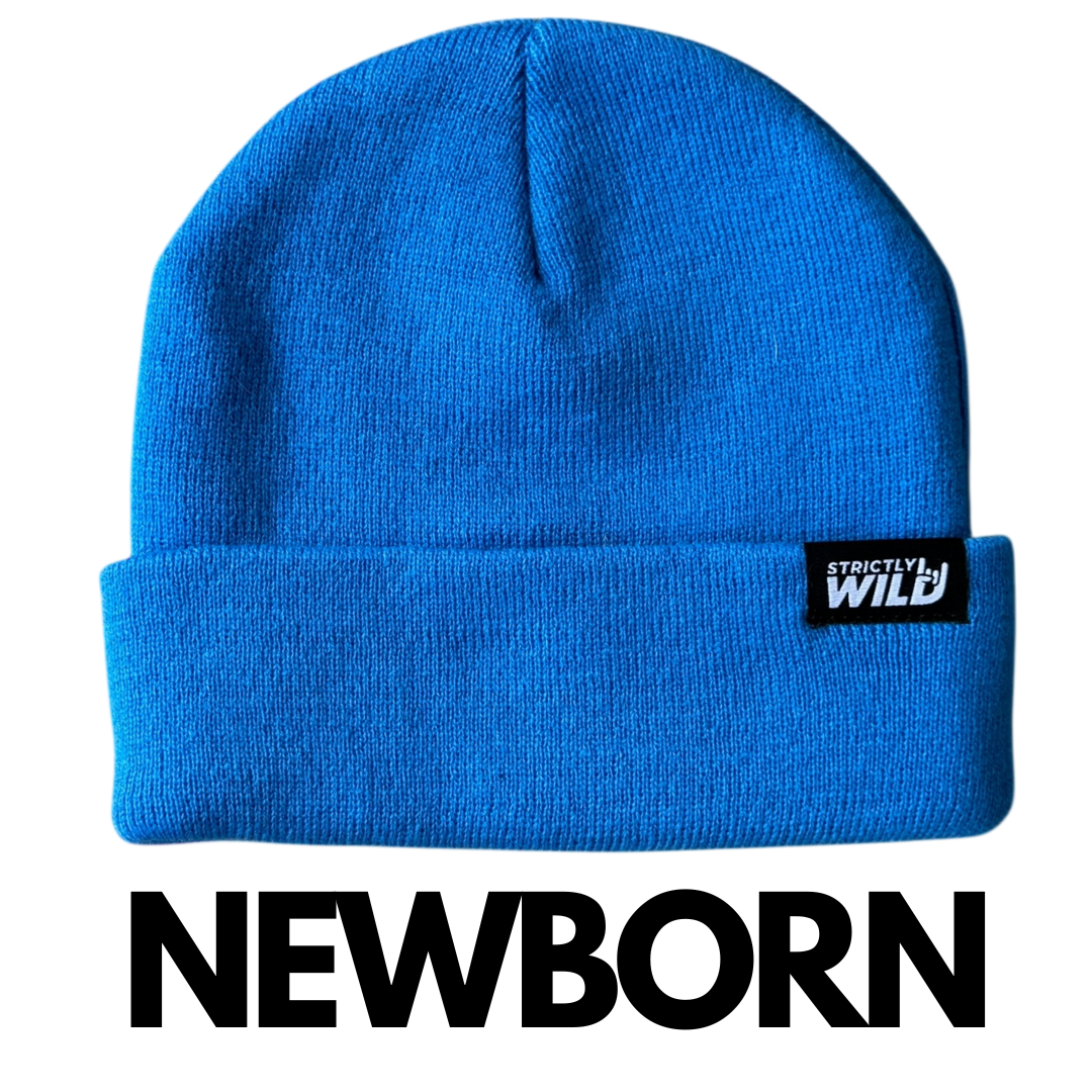 Blue Blitz Beanie
