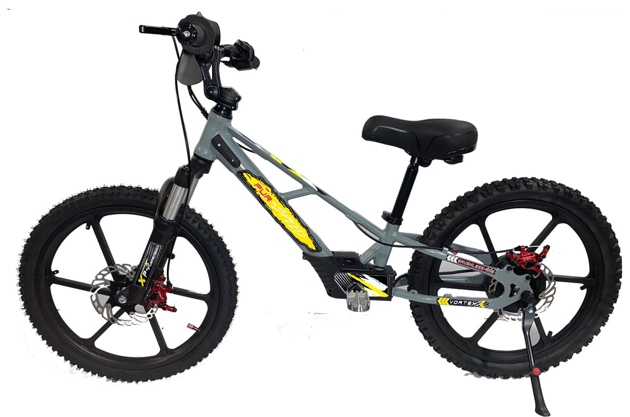 Pur-Speed 20" Xtreme 500W 48V 4ah