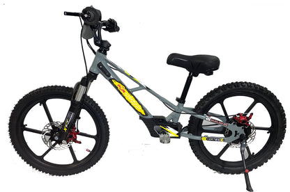 Pur-Speed 20" Xtreme 500W 48V 4ah