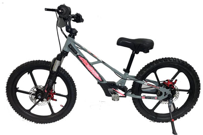 Pur-Speed 20" Xtreme 500W 48V 4ah