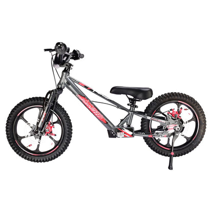 Pur-Speed 16" Xtreme 350W 48V 4ah