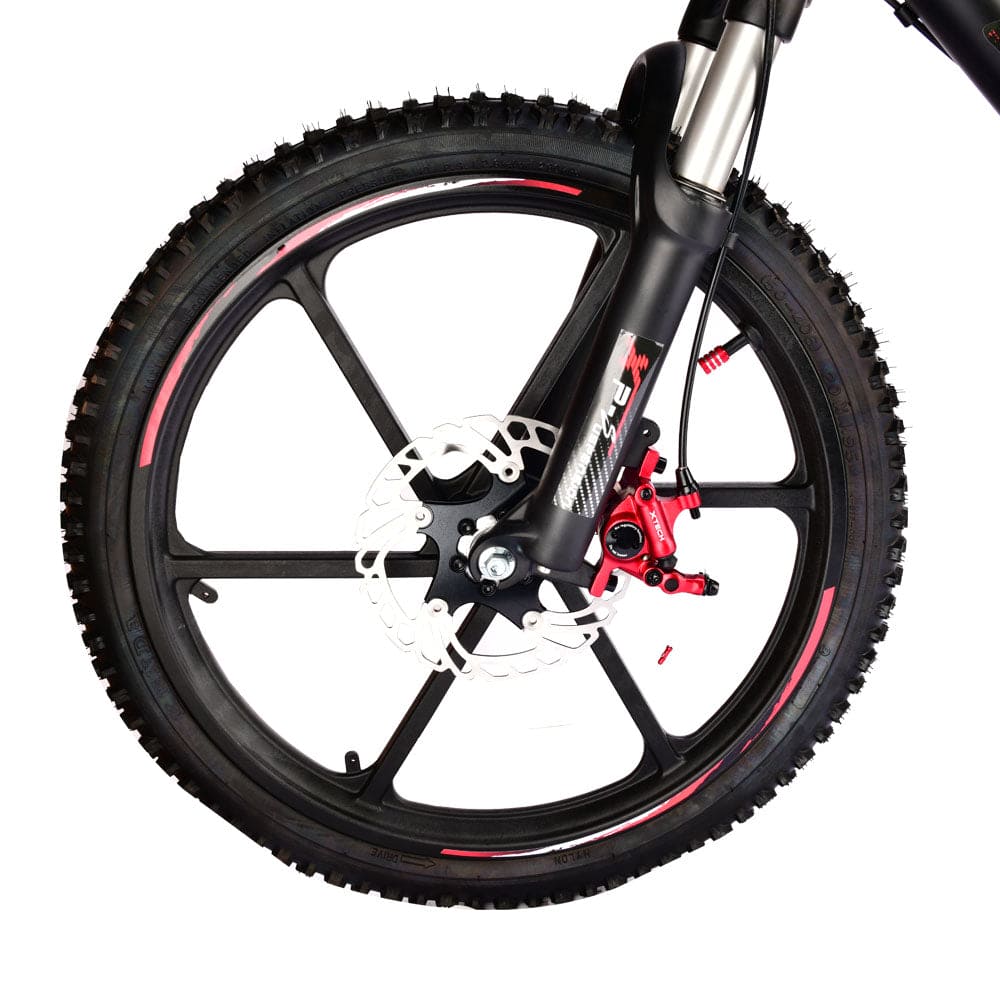 Pur-Speed 20" Xtreme 500W 48V 4ah