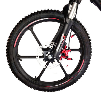 Pur-Speed 20" Xtreme 500W 48V 4ah