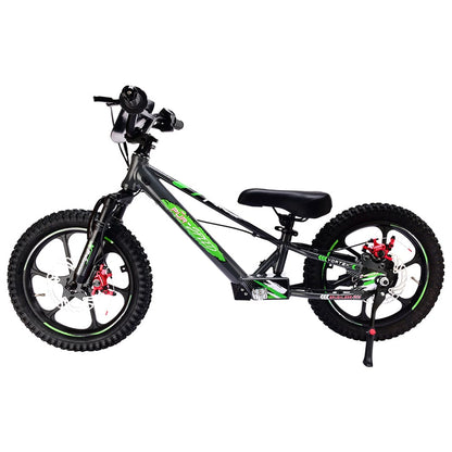 Pur-Speed 16" Xtreme 350W 48V 4ah