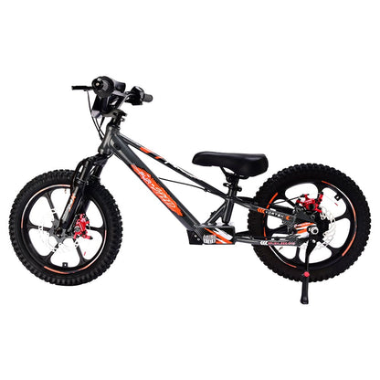 Pur-Speed 16" Xtreme 350W 48V 4ah