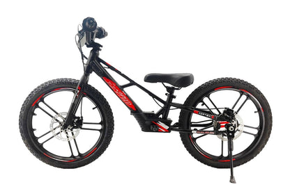 Pur-Speed 20" EKO 350W 36V 5.2ah