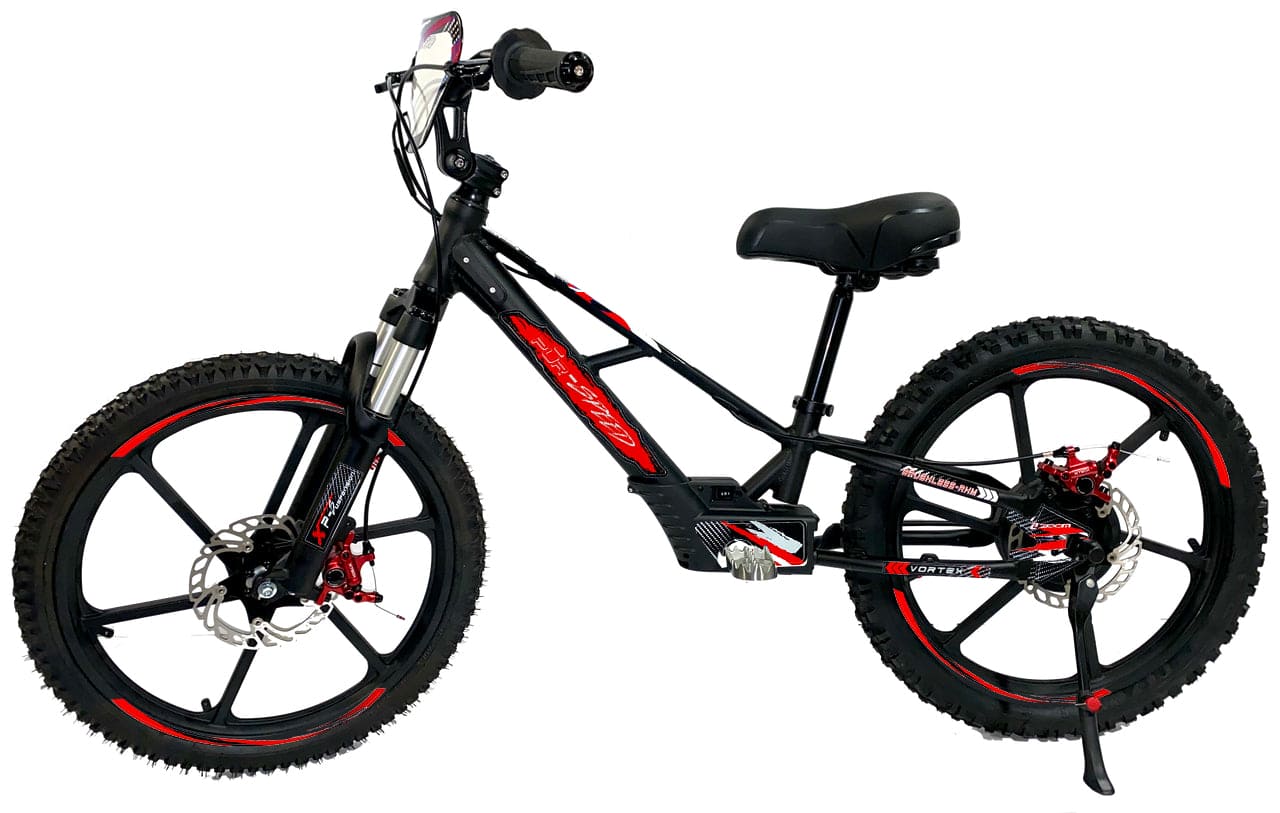 Pur-Speed 20" Xtreme 500W 48V 4ah