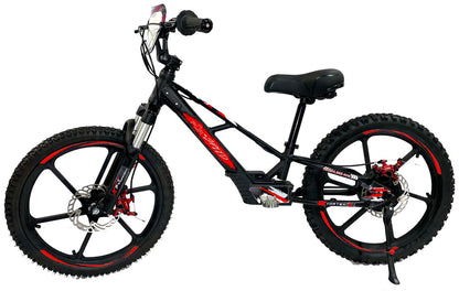 Pur-Speed 20" Xtreme 500W 48V 4ah