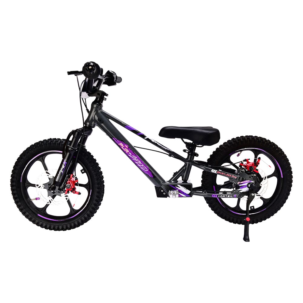 Pur-Speed 16" Xtreme 350W 48V 4ah