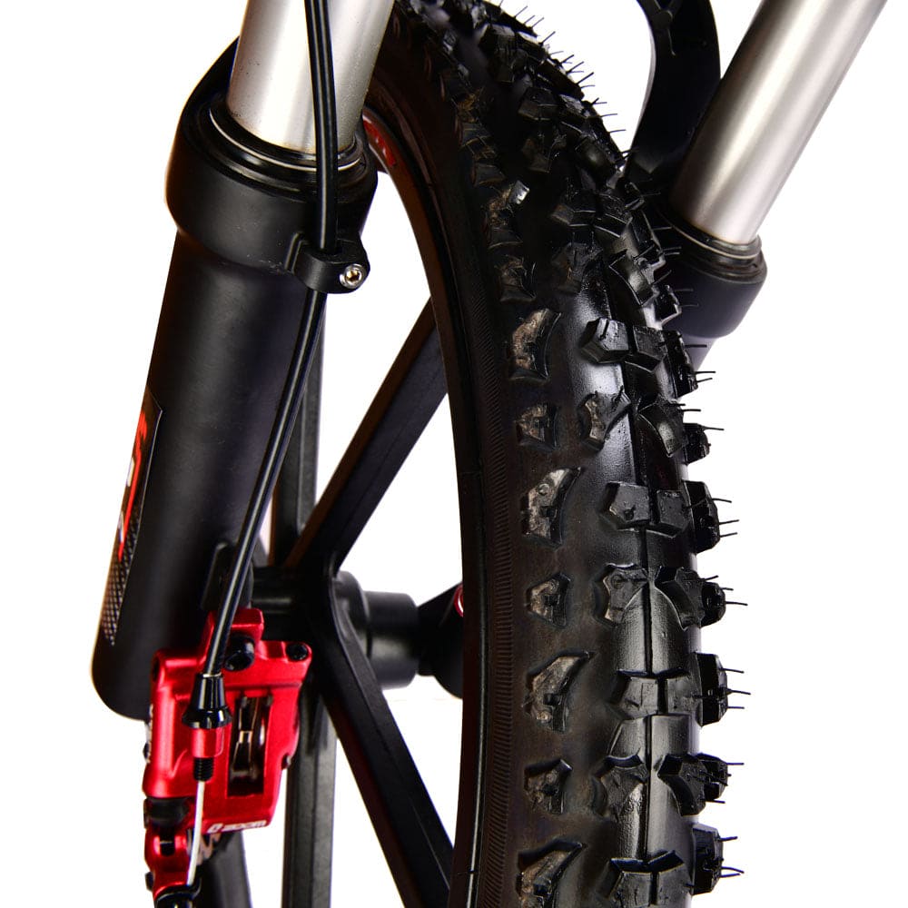 Pur-Speed 20" Xtreme 500W 48V 4ah