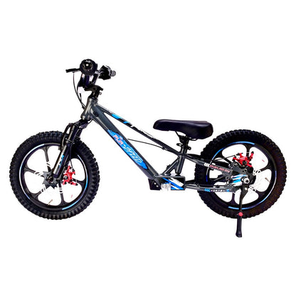 Pur-Speed 16" Xtreme 350W 48V 4ah