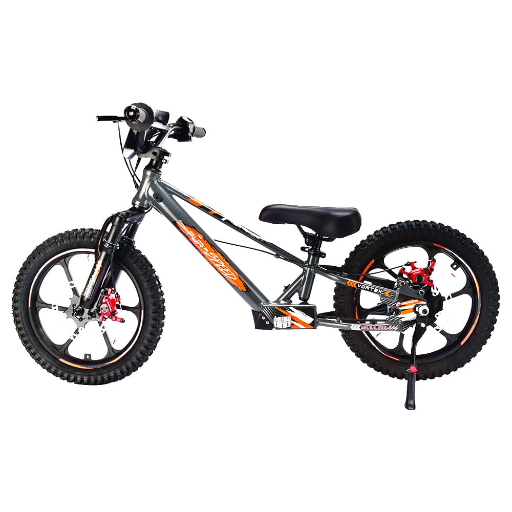 Pur-Speed 16" Xtreme 350W 48V 4ah