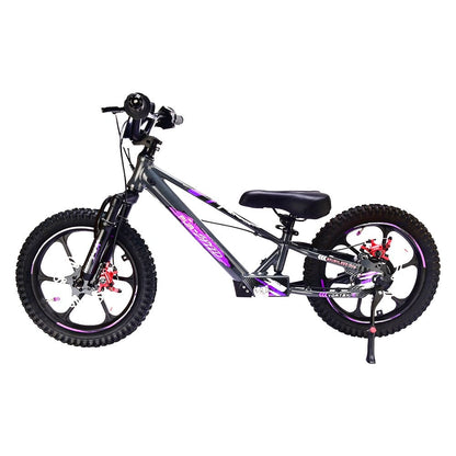 Pur-Speed 16" Xtreme 350W 48V 4ah
