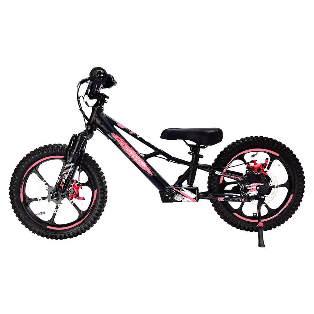 Pur-Speed 16" Xtreme 350W 48V 4ah