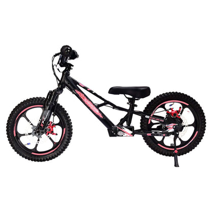 Pur-Speed 16" Xtreme 350W 48V 4ah