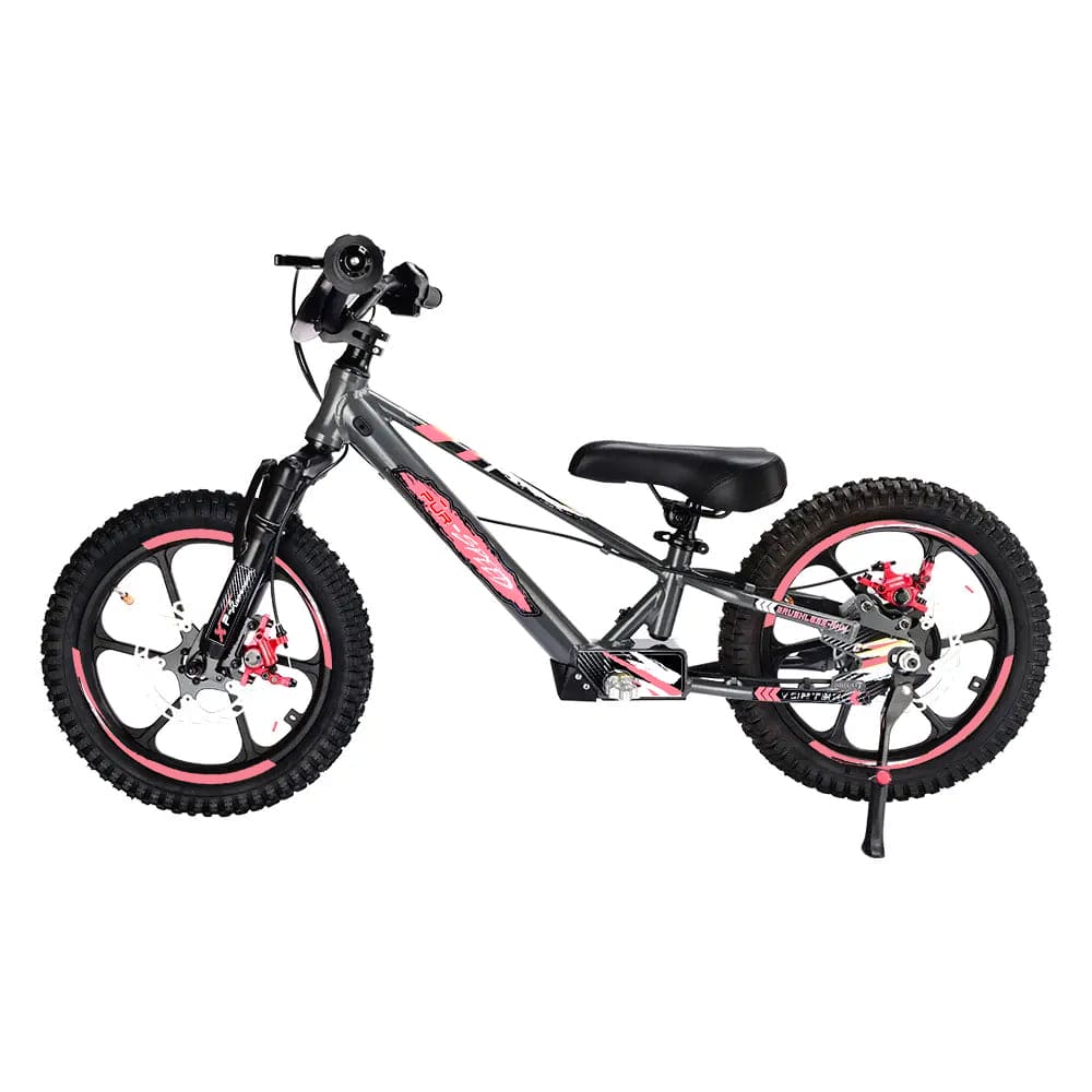Pur-Speed 16" Xtreme 350W 48V 4ah