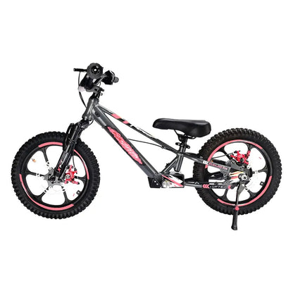 Pur-Speed 16" Xtreme 350W 48V 4ah