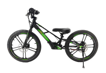 Pur-Speed 20" EKO 350W 36V 5.2ah