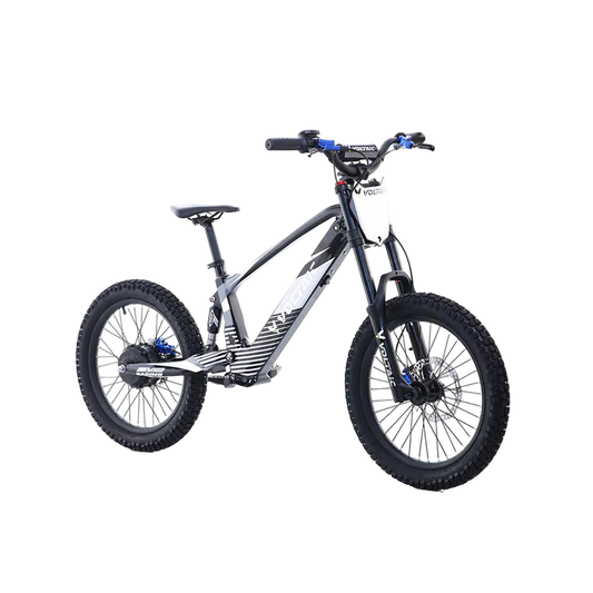 Voltaic Youth Electric Dirt Bike 20'' Flying Fox 36V
