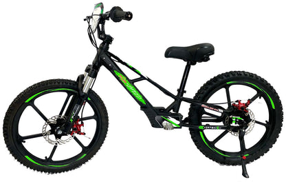 Pur-Speed 20" Xtreme 500W 48V 4ah