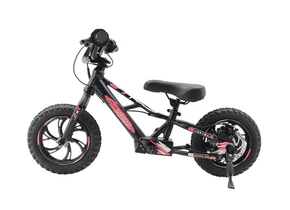 Pur-Speed 12" EKO 250W 24V 2.6ah