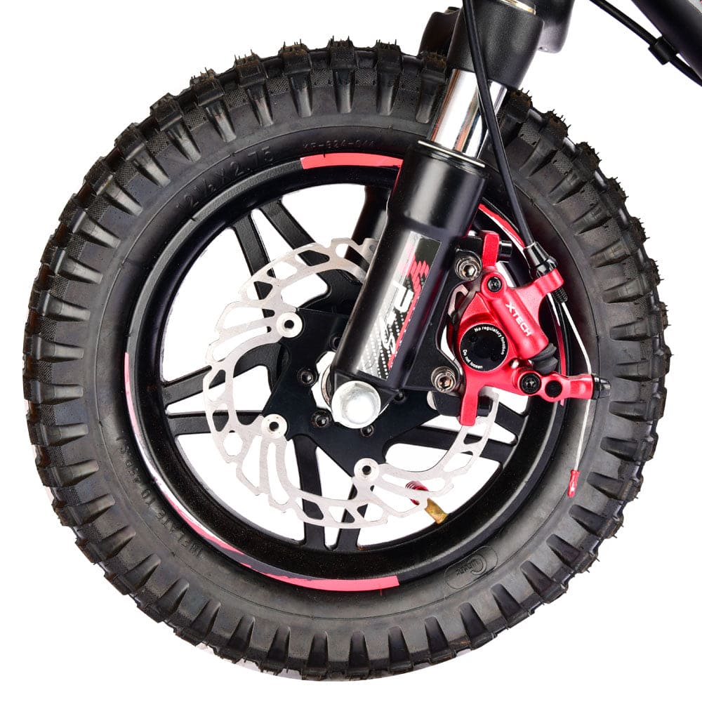 Pur-Speed 12" Xtreme 250W 36V 4ah