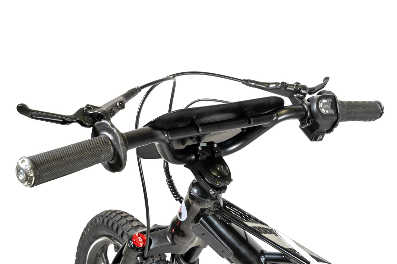 *NEW PRODUCT* Pur-Speed 16" Xtreme Ultra 350W 52V 5ah