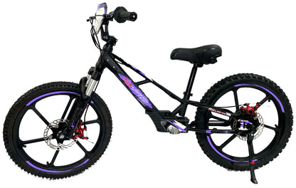 Pur-Speed 20" Xtreme 500W 48V 4ah