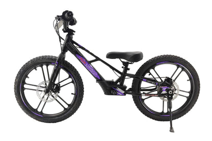 Pur-Speed 20" EKO 350W 36V 5.2ah