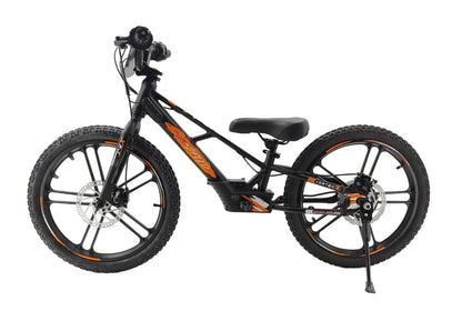 Pur-Speed 20" EKO 350W 36V 5.2ah