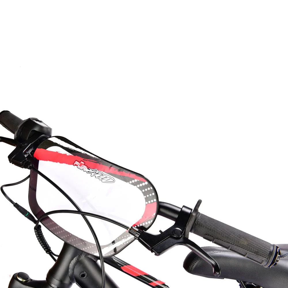 Pur-Speed 12" Xtreme 250W 36V 4ah