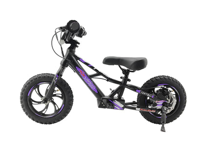 Pur-Speed 12" EKO 250W 24V 2.6ah