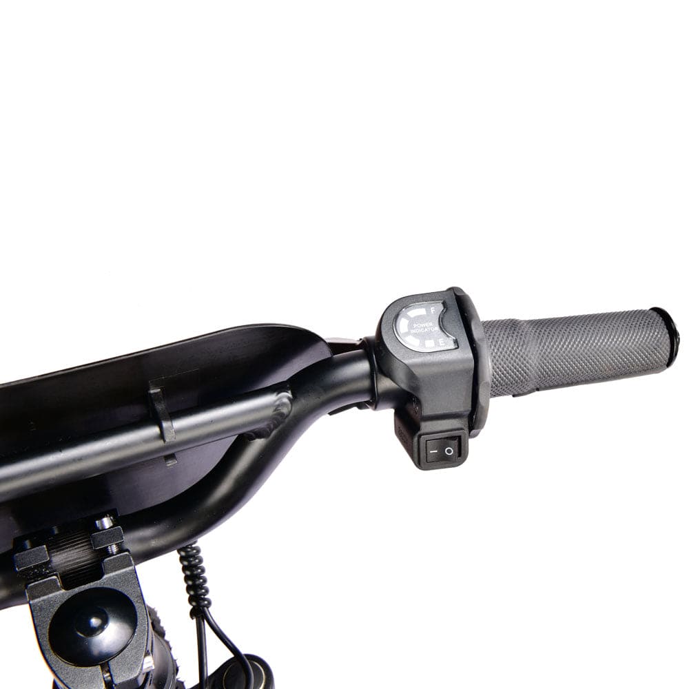 Pur-Speed 12" Xtreme 250W 36V 4ah