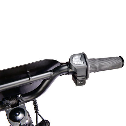 Pur-Speed 12" Xtreme 250W 36V 4ah