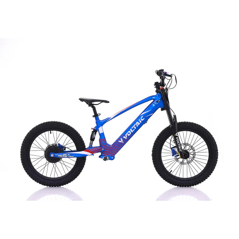 Voltaic Youth Electric Dirt Bike 20'' Flying Fox 48V