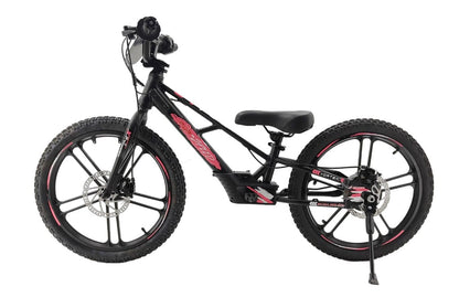 Pur-Speed 20" EKO 350W 36V 5.2ah