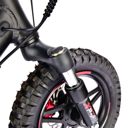 Pur-Speed 12" Xtreme 250W 36V 4ah