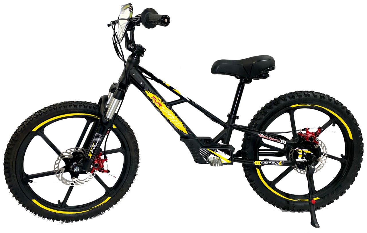 Pur-Speed 20" Xtreme 500W 48V 4ah