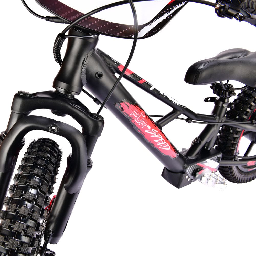 Pur-Speed 16" Xtreme 350W 48V 4ah