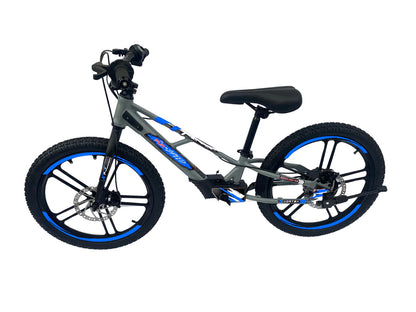 Pur-Speed 20" EKO 350W 36V 5.2ah